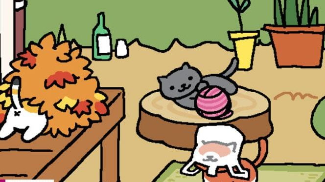 قصه گربه های شلخته