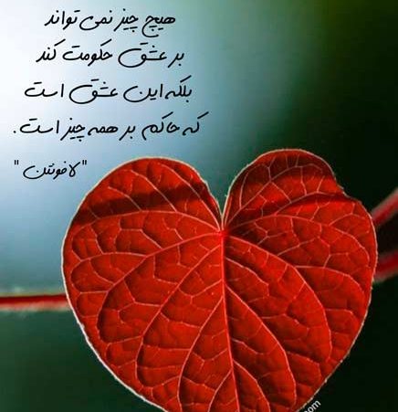 متن درباره عشق [ 50 متن ناب احساسی عاشقانه و دلبرانه در وصف عشق ]