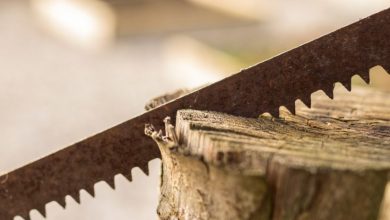 تعبیر خواب اره