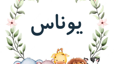 اسم یوناس