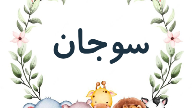 معنی اسم سوجان