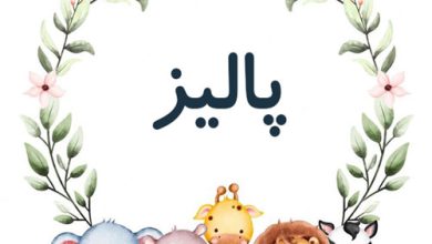 معنی اسم پالیز