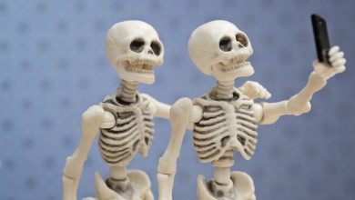 تعبیر خواب استخوان