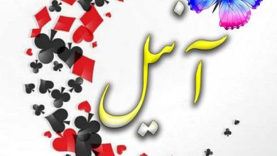 معنی اسم آنیل