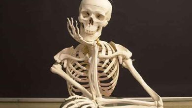 تعبیر خواب اسکلت