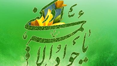 امام محمد تقی (ع)