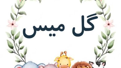 اسم گل میس
