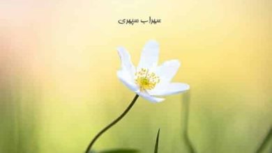 متن انگیزشی ترک سیگار