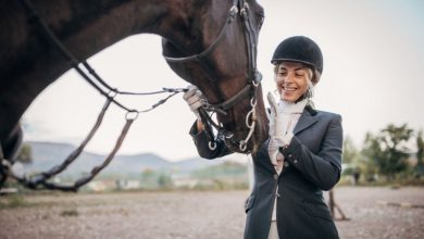 تعبیر خواب افسار