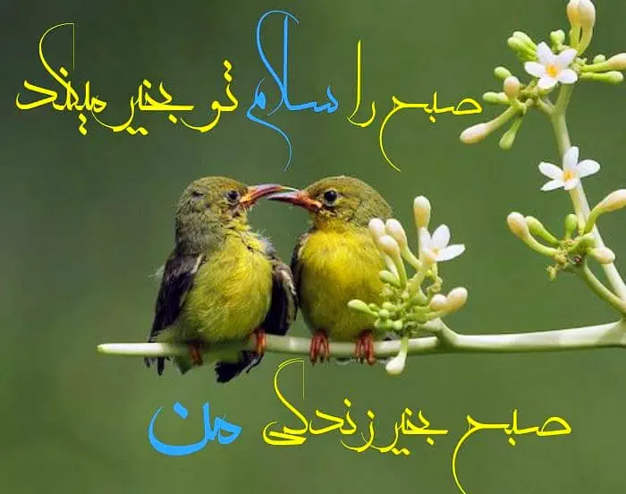 عشقم عکس صبح بخیر عاشقانه دونفره