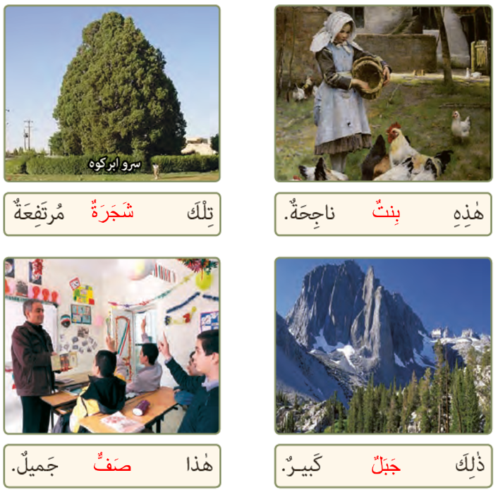 جواب التمرین الثانی صفحه ۱۵ درس ۱ عربی هفتم