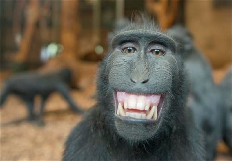 چیستان خنده دار منحرف