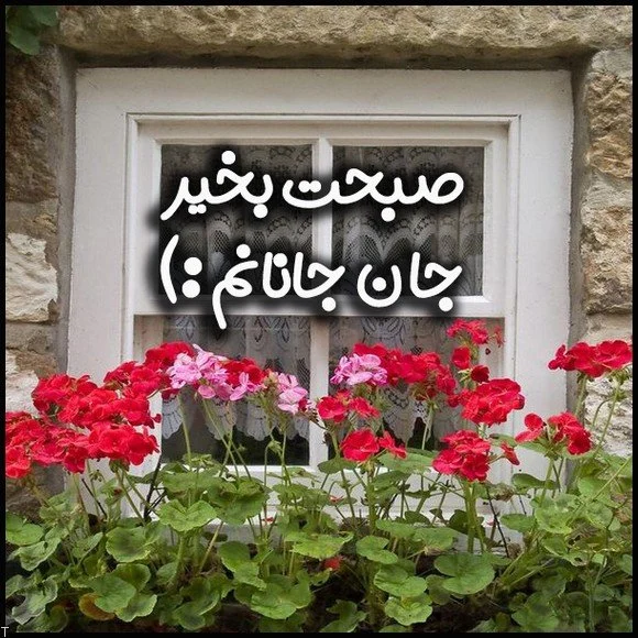 صبح بخیر عاشقانه