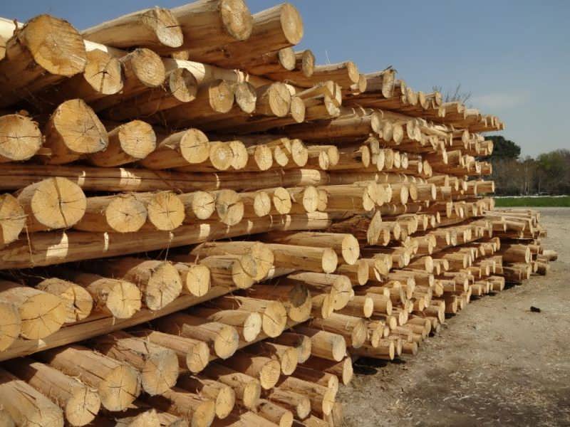 تعبیر خواب الوار؛ انواع تعابیر خواب الوار، چوب و اره کردن