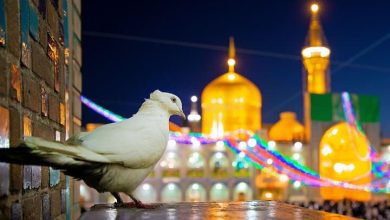 تعبیر خواب امام رضا