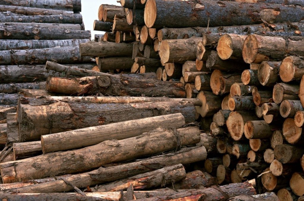 تعبیر خواب الوار؛ انواع تعابیر خواب الوار، چوب و اره کردن