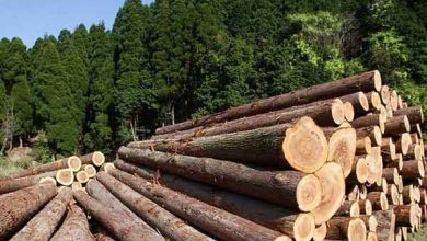 تعبیر خواب الوار