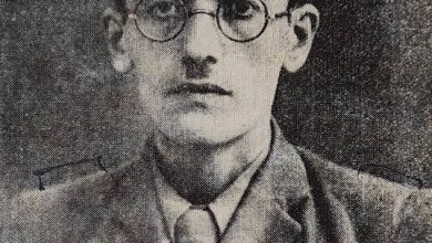 صابر همدانی