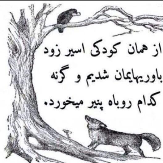 متن در مورد چوب سادگی