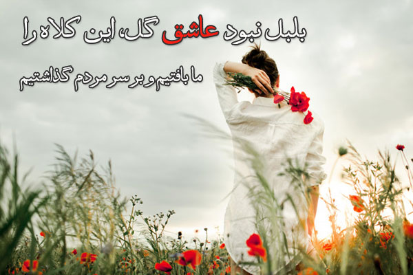 صابر همدانی