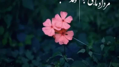 تبریک تولد عاشقانه مرداد ماهی