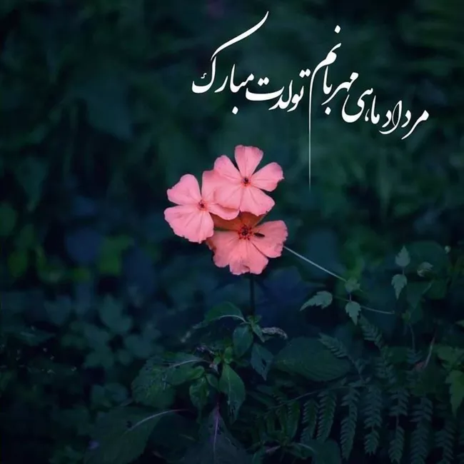 تبریک تولد عاشقانه مرداد ماهی
