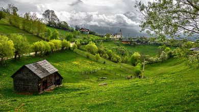 اشعار زیبا در وصف طبیعت