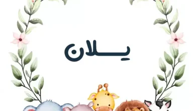 اسم یلان