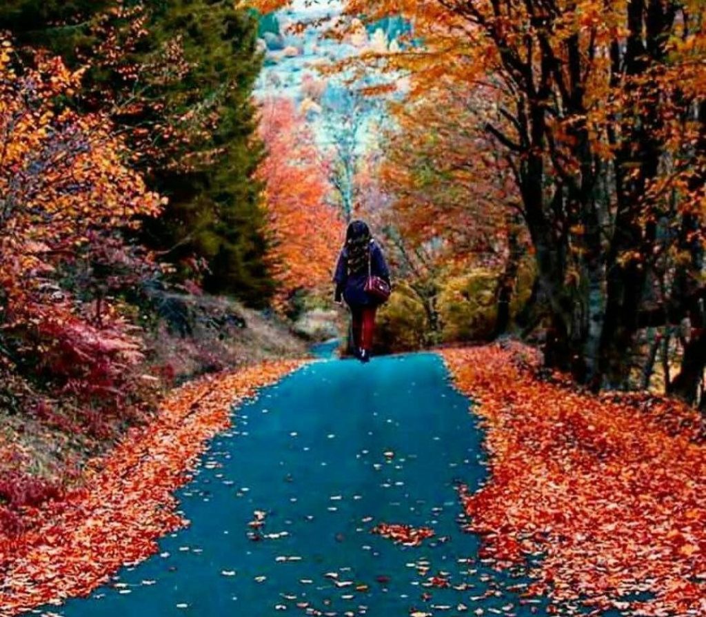 متن درباره پاییز و دلتنگی به همراه عکس نوشته های زیبا اما غمگین