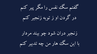 اشعار وفاداری / سروده هایی درمورد ارزش تعهد و صداقت
