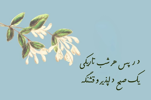 جملات زیبا درباره زندگی