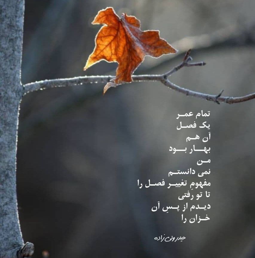 عکس نوشته اشعار درباره خزان