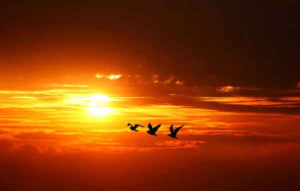 انشا در مورد طلوع خورشید با مقدمه بدنه نتیجه