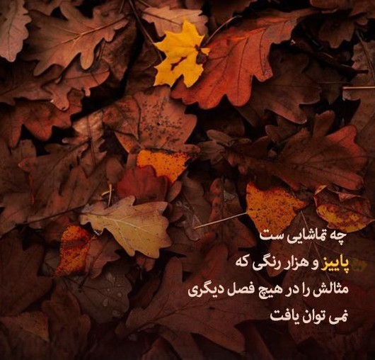 سخن بزرگان درباره پاییز