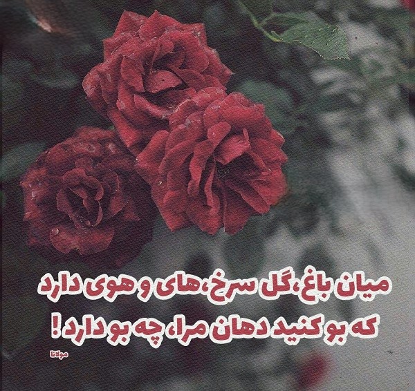 متن های قشنگ درباره گل