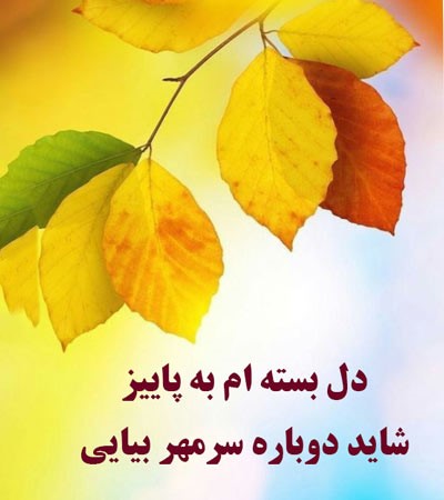 متن پاییز و برگ