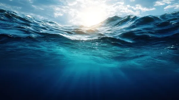 انشا درباره اقیانوس