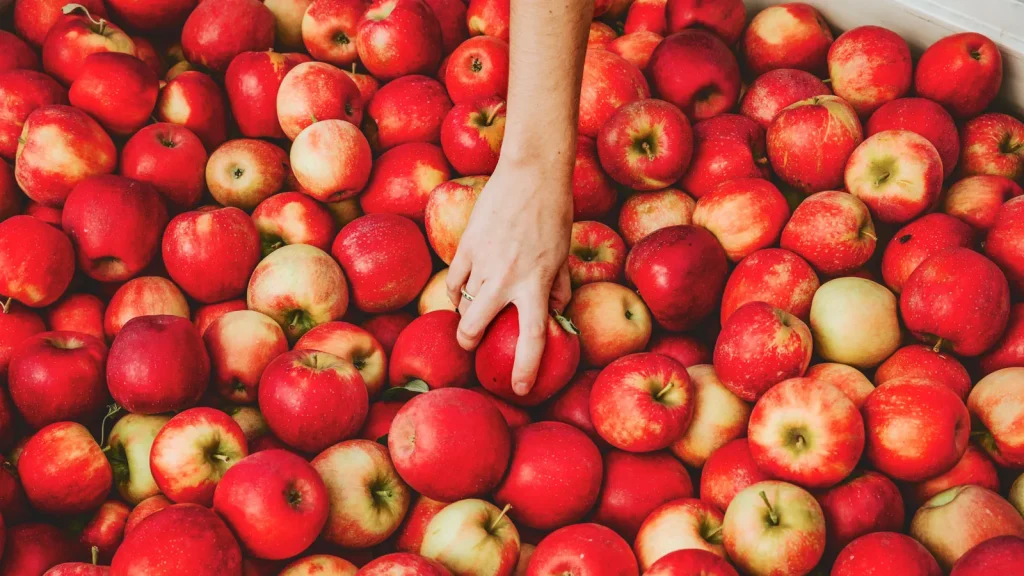 انشا درباره سیب از زبان خودش برای دانش آموزان