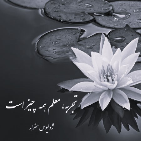 جملات زیبا درباره تجربه