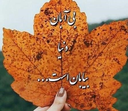 جملات زیبای آبان ماهی و پاییز