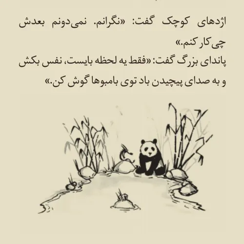 جملاتی از کتاب فلسفی پاندای بزرگ و اژدهای کوچک